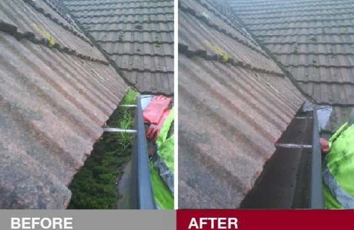 Gutter Cleaning